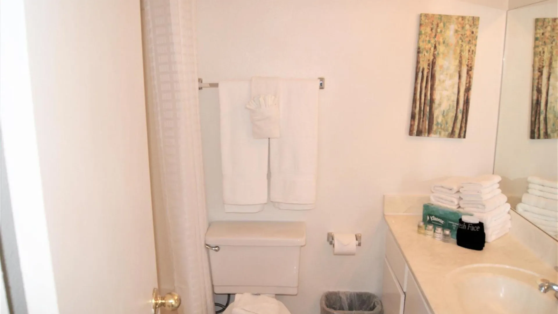 248 Fully Furnished 1Br Suite-Pet Friendly Scottsdale Apartment